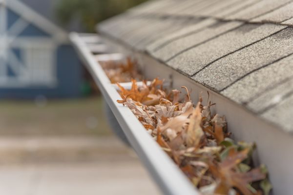 Leaf Barrier Installation in Lithonia